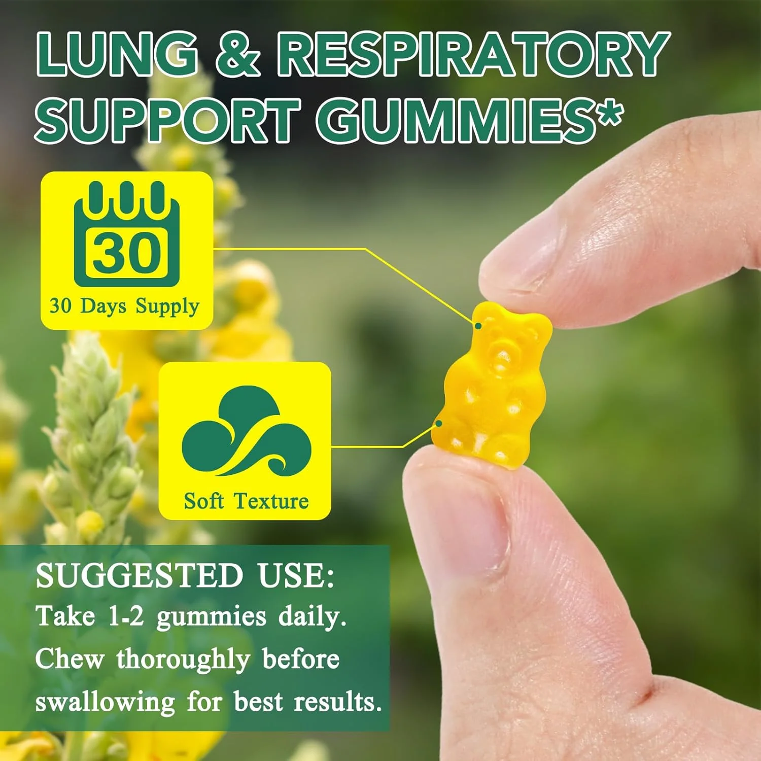 Mullein Gummies: Detox Your Lungs - Image 6